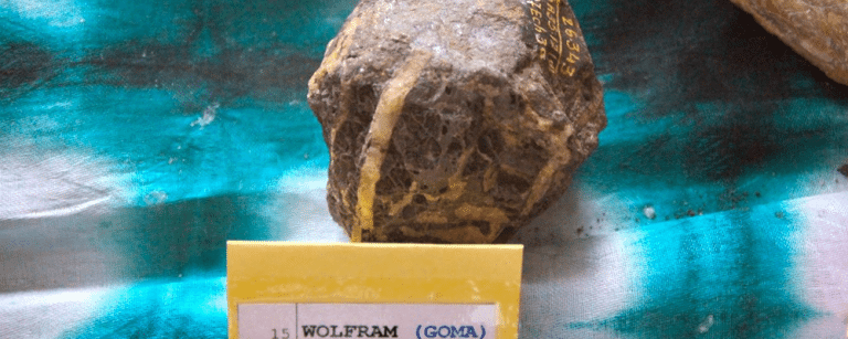 What makes your mobile phone so precious?