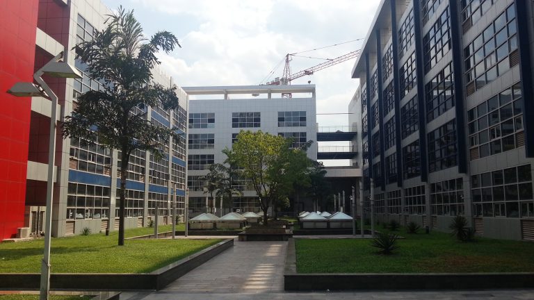 Social Responsibility: Introducing TAOS Network