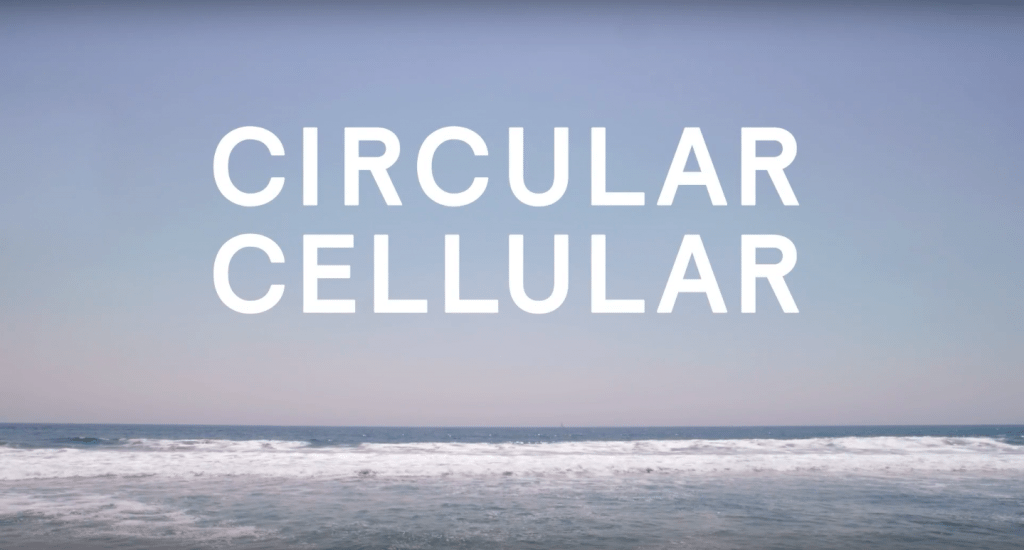 circularcellular1
