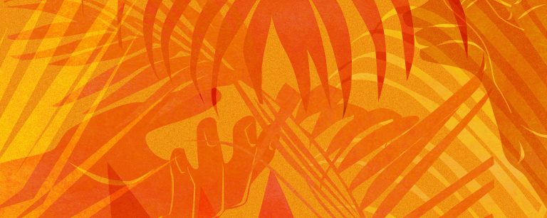 What’s next for Android 7 on Fairphone 2?