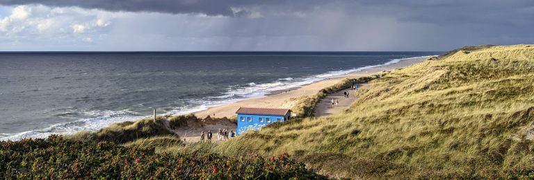 Cameratest in de realiteit: één maand met de geüpgraded modules