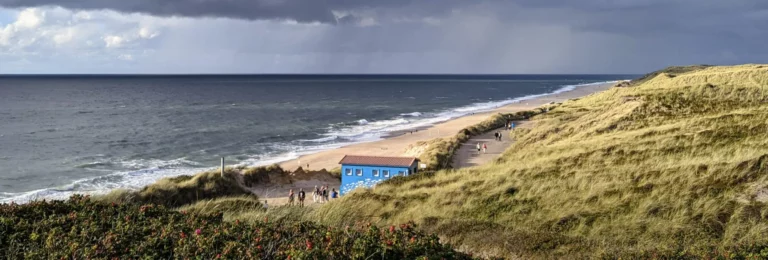 Real world camera test: One month with the upgraded modules