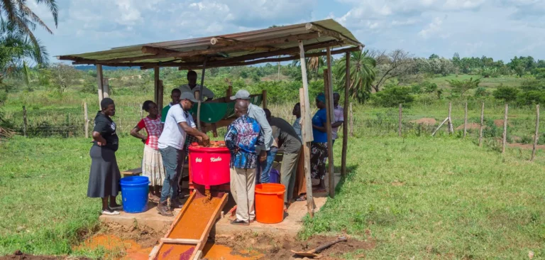 Tackling child labor: A joint force